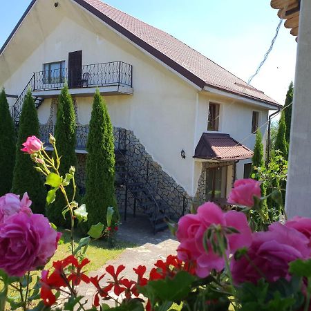Casa Carpati Apartment Zarnesti Exterior photo